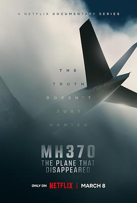 MH370：消失的航班